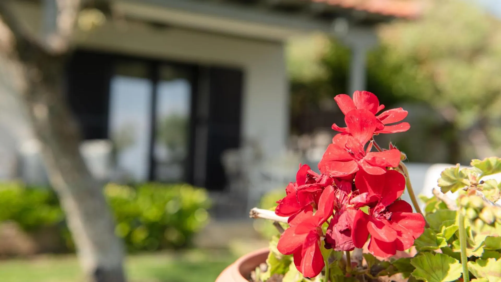 Ktima Delmare Pantazara Villa Nea Skioni 0*,  Grecia